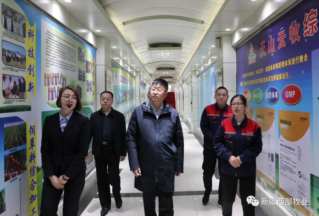 八師石河子市黨委常委、八師副師長(zhǎng)趙日強(qiáng)到天山云牧公司調(diào)研
